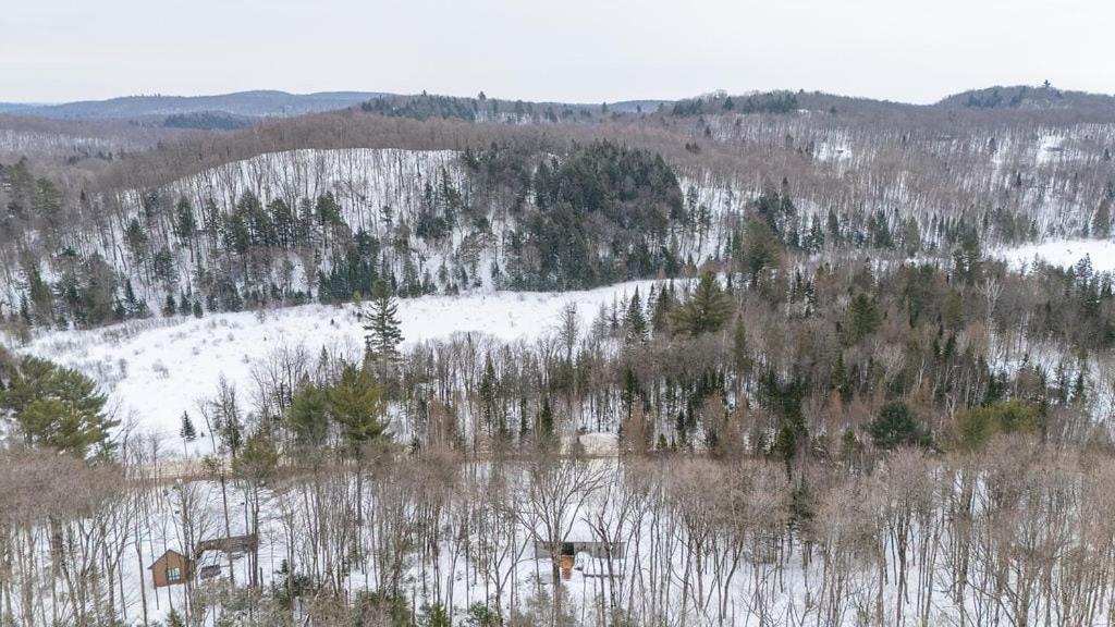 Chalet Amira - Nature Retreat - Hiking Brownsburg 外观 照片